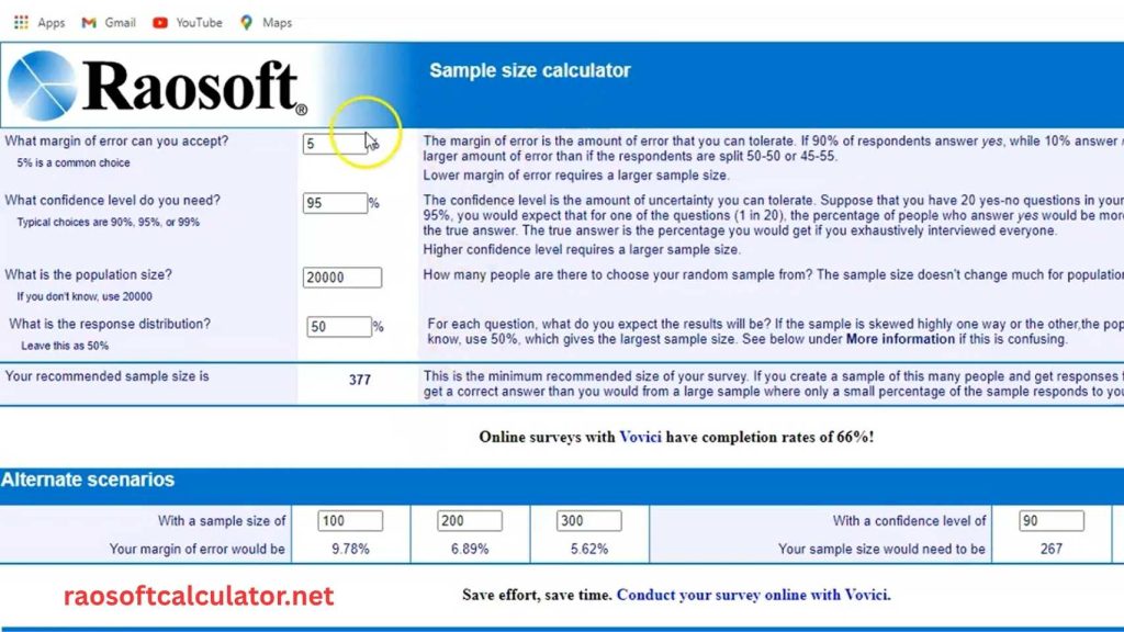 Raosoft calculator
